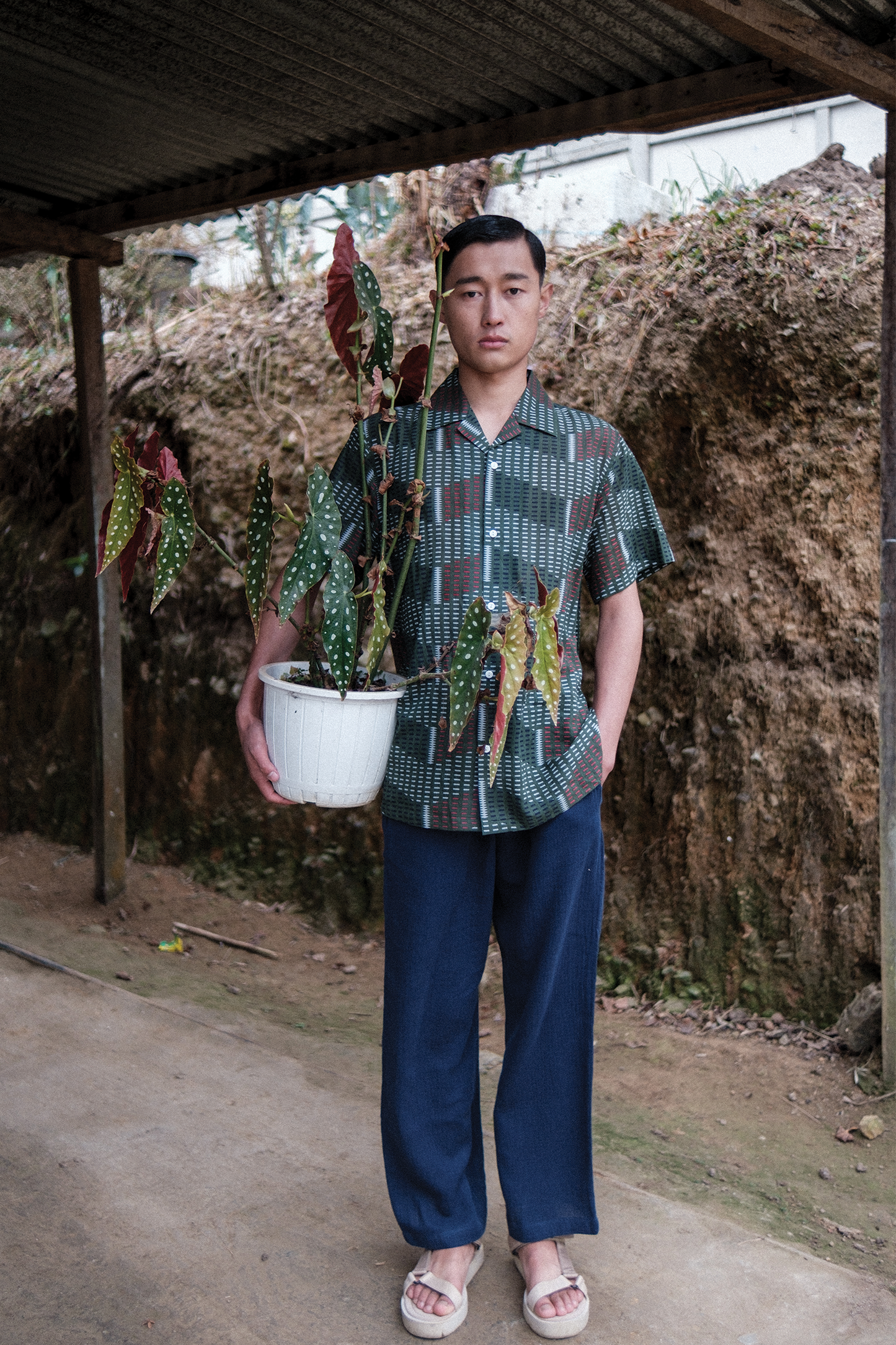 Sacred Forest Shirt